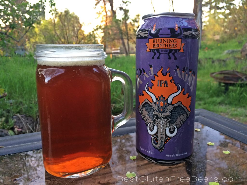 Gluten Free Beer Review: Burning Brothers Brewing Raj-Agni IPA
