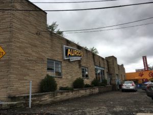 Aurochs Brewing Co. Taproom Experience Best Gluten Free Beers Guest Review