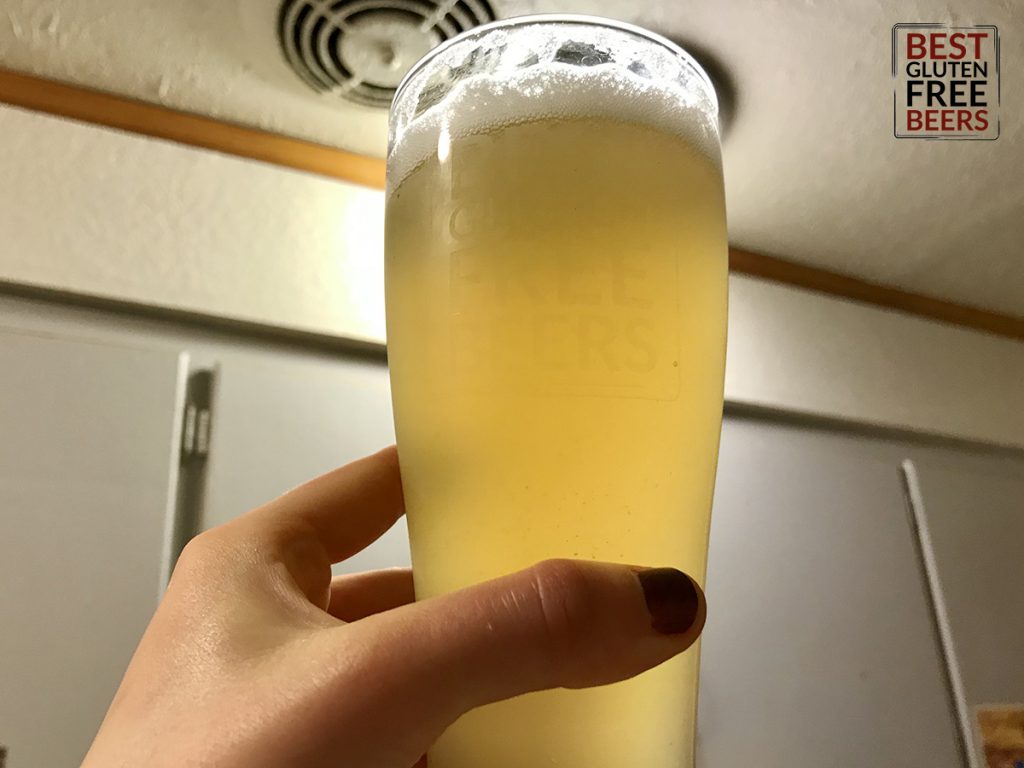Holidaily Brewing Buckwit Belgian Witbier gluten free beer review