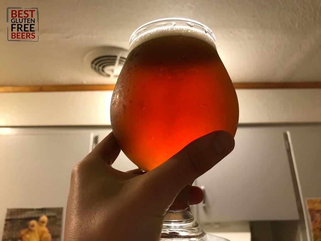 Patchy Waters Pumpkin Ale