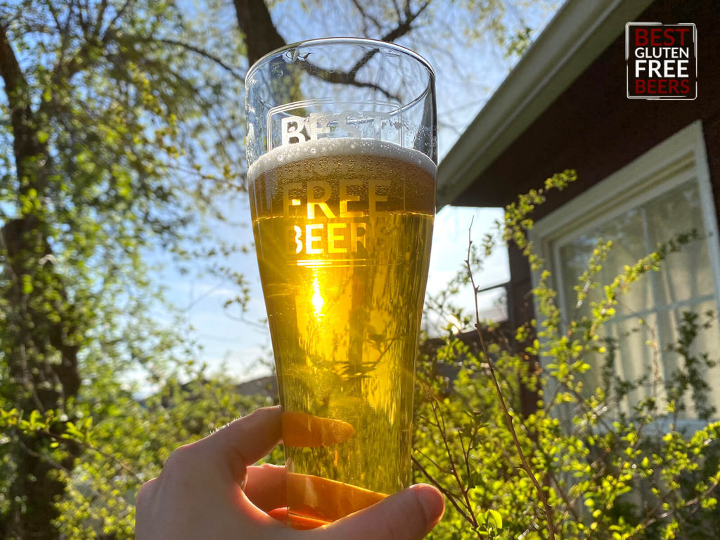 gluten free vienna lager